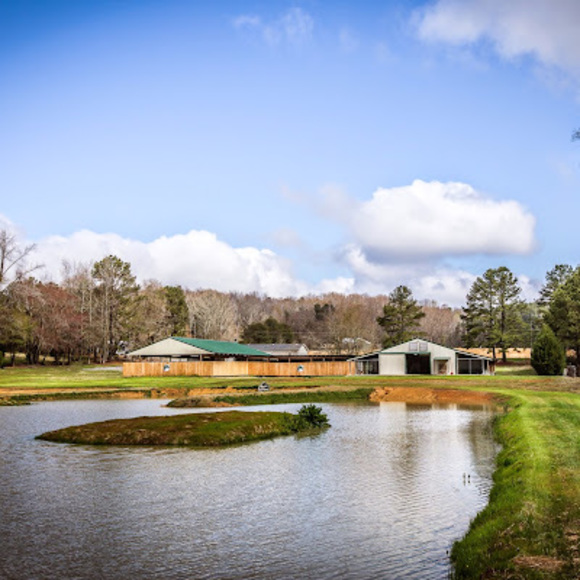 Meet your Posher, Whistling wings - Picture 1 of 1